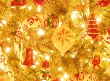 christmas-tree-1443955-1280x960
